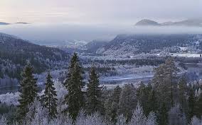 images-6