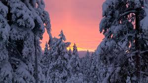 images-7